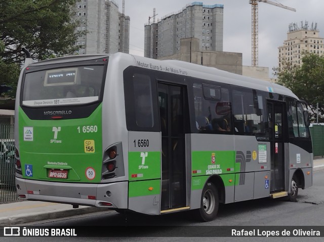 Transcooper > Norte Buss 1 6560 na cidade de São Paulo, São Paulo, Brasil, por Rafael Lopes de Oliveira. Número da foto: #9643194.