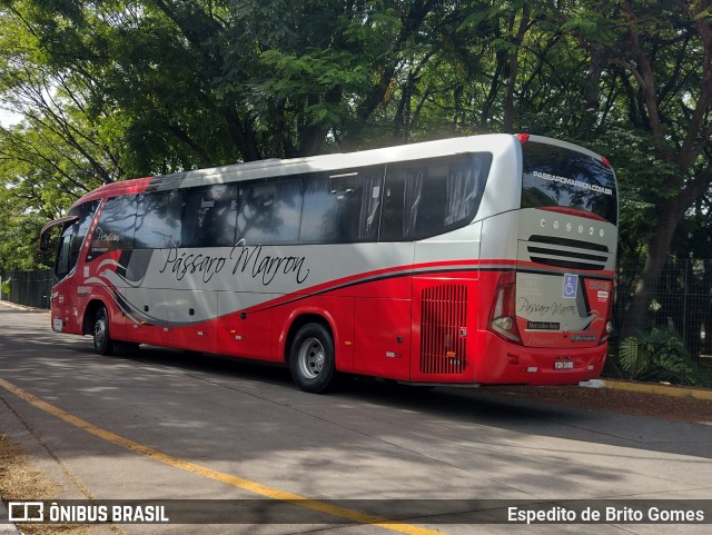 Empresa de Ônibus Pássaro Marron 5649 na cidade de São Paulo, São Paulo, Brasil, por Espedito de Brito Gomes. Número da foto: #9644903.