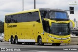 Viação Itapemirim 17005 na cidade de São Paulo, São Paulo, Brasil, por Carlos Kircheim. Número da foto: #9644760.