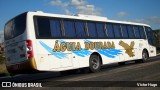 Águia Dourada 2020 na cidade de Caruaru, Pernambuco, Brasil, por Victor Hugo. Número da foto: #9646762.