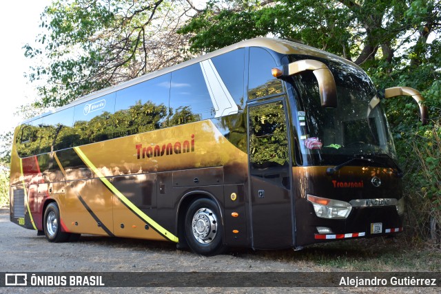 Tnani PB na cidade de Santa Cruz, Guanacaste, Costa Rica, por Alejandro Gutiérrez. Número da foto: #9648648.
