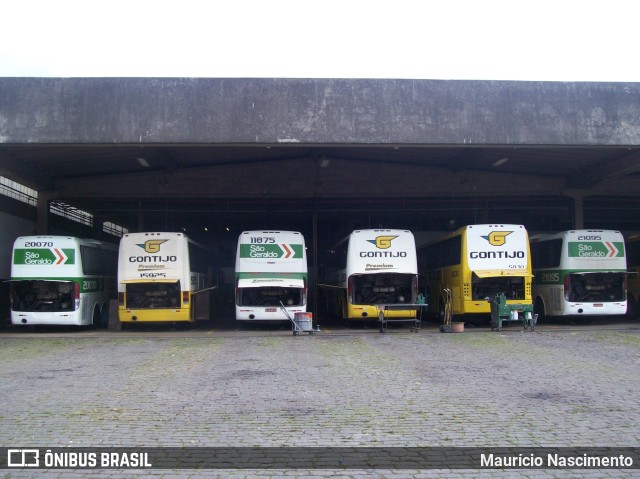 Empresa Gontijo de Transportes 12500 na cidade de Belo Horizonte, Minas Gerais, Brasil, por Maurício Nascimento. Número da foto: #9650125.