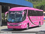 Lual Rio Turismo e Fretamento 3300 na cidade de Juiz de Fora, Minas Gerais, Brasil, por Luiz Krolman. Número da foto: #9649311.