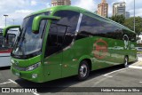 Trans Wolff Transportes e Turismo 0310 na cidade de São Paulo, São Paulo, Brasil, por Helder Fernandes da Silva. Número da foto: #9651756.