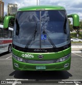 Trans Wolff Transportes e Turismo 0310 na cidade de São Paulo, São Paulo, Brasil, por Helder Fernandes da Silva. Número da foto: #9651760.