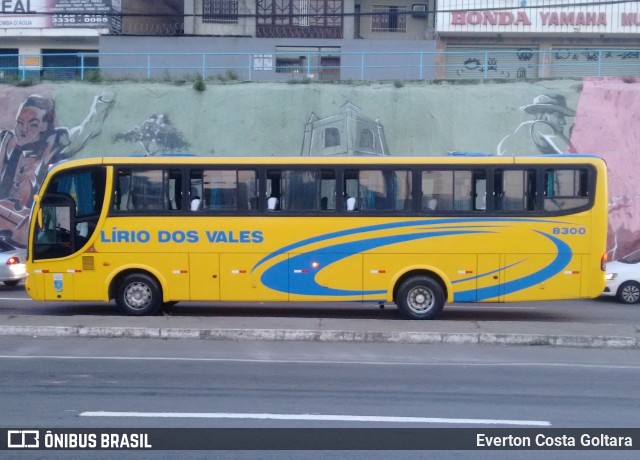 Viação Lírio dos Vales 8300 na cidade de Cariacica, Espírito Santo, Brasil, por Everton Costa Goltara. Número da foto: #9652154.
