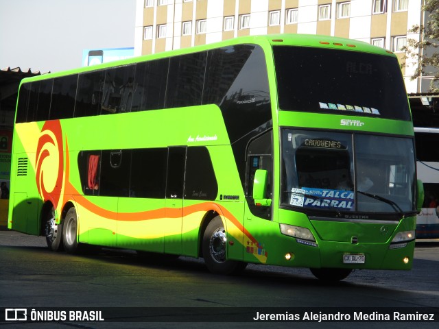 Pullman Setter  na cidade de Santiago, Santiago, Metropolitana de Santiago, Chile, por Jeremias Alejandro Medina Ramirez. Número da foto: #9658046.