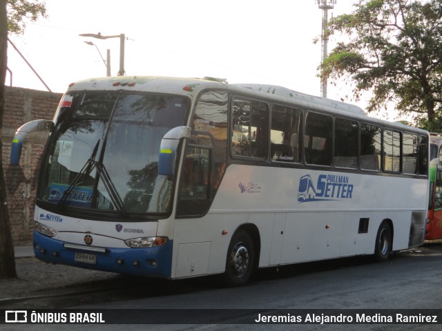 Pullman Setter  na cidade de Santiago, Santiago, Metropolitana de Santiago, Chile, por Jeremias Alejandro Medina Ramirez. Número da foto: #9657941.