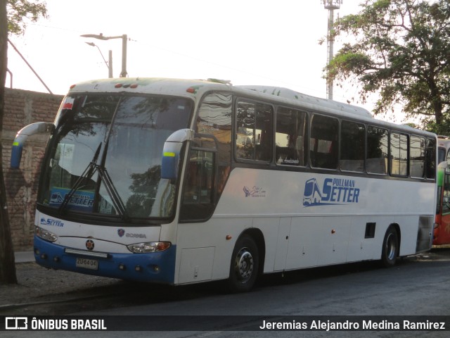 Pullman Setter  na cidade de Santiago, Santiago, Metropolitana de Santiago, Chile, por Jeremias Alejandro Medina Ramirez. ID da foto: 9657941.