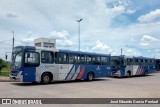Transportes Capellini 32081 na cidade de Hortolândia, São Paulo, Brasil, por José Eduardo Garcia Pontual. Número da foto: #:id.