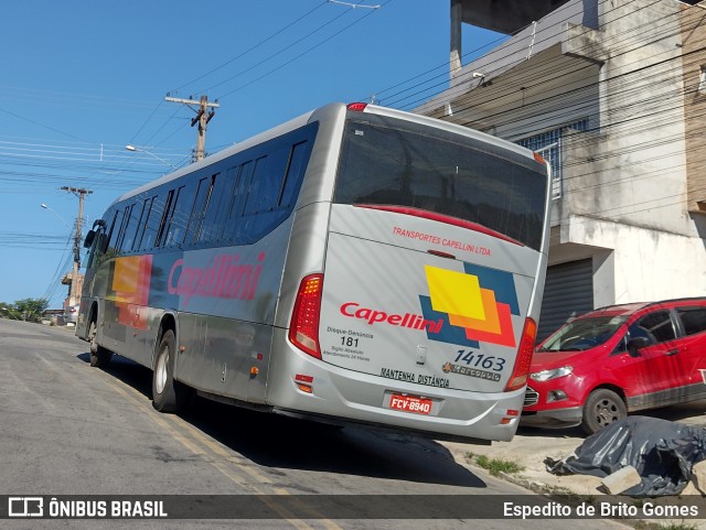 Transportes Capellini 14163 na cidade de Franco da Rocha, São Paulo, Brasil, por Espedito de Brito Gomes. Número da foto: #9671300.