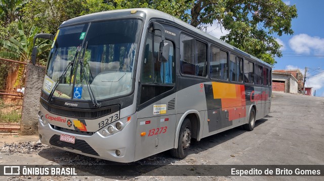 Transportes Capellini 13273 na cidade de Francisco Morato, São Paulo, Brasil, por Espedito de Brito Gomes. ID da foto: 9669318.