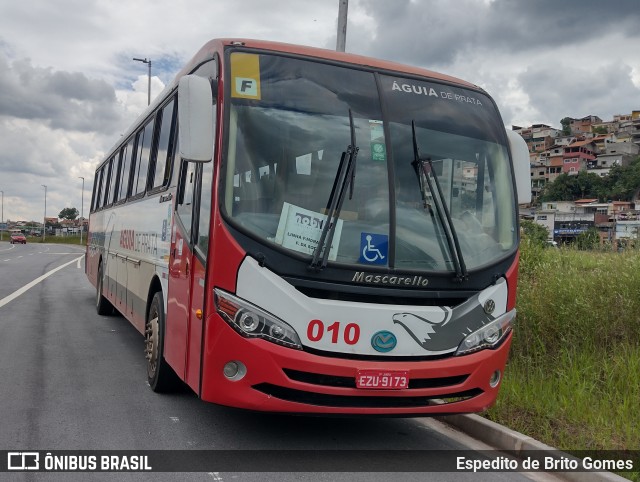 Águia de Prata 010 na cidade de Caieiras, São Paulo, Brasil, por Espedito de Brito Gomes. ID da foto: 9669322.