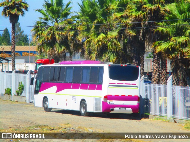 Ônibus Particulares BDDX34 na cidade de Requínoa, Cachapoal, Libertador General Bernardo O'Higgins, Chile, por Pablo Andres Yavar Espinoza. ID da foto: 9674987.