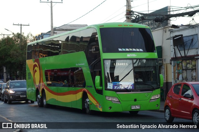 Pullman Setter  na cidade de Santiago, Santiago, Metropolitana de Santiago, Chile, por Sebastián Ignacio Alvarado Herrera. Número da foto: #9680021.