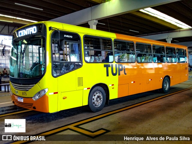 TUPi Transportes Urbanos Piracicaba 8175 na cidade de Piracicaba, São Paulo, Brasil, por Henrique Alves de Paula Silva. Número da foto: #9696221.