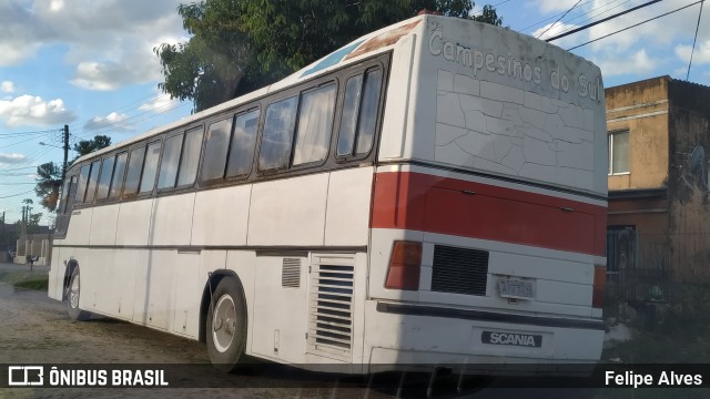 Os Campesinos do Sul 7611 na cidade de Pelotas, Rio Grande do Sul, Brasil, por Felipe Alves. Número da foto: #9696001.
