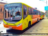 TUPi Transportes Urbanos Piracicaba 8153 na cidade de Piracicaba, São Paulo, Brasil, por Henrique Alves de Paula Silva. Número da foto: #9696277.