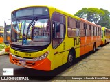 TUPi Transportes Urbanos Piracicaba 8113 na cidade de Piracicaba, São Paulo, Brasil, por Henrique Alves de Paula Silva. Número da foto: #9696354.