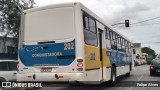 Viação Nossa Senhora Conquistadora 202 na cidade de Pelotas, Rio Grande do Sul, Brasil, por Felipe Alves. Número da foto: #9696018.