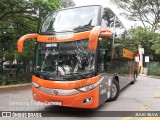 Catedral Turismo 20336 na cidade de São Paulo, São Paulo, Brasil, por JULIO SILVA. Número da foto: #9700512.