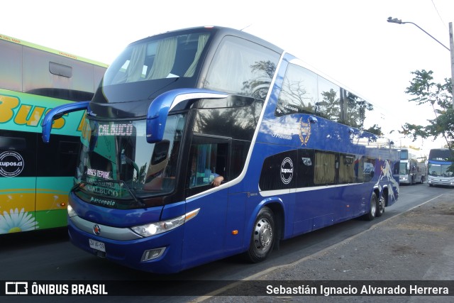 Buses Tepual  na cidade de Santiago, Santiago, Metropolitana de Santiago, Chile, por Sebastián Ignacio Alvarado Herrera. Número da foto: #9702646.