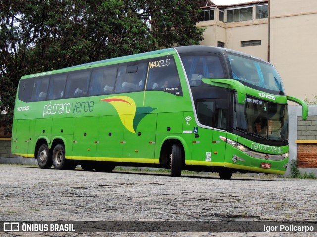Pássaro Verde 12125 na cidade de Divinópolis, Minas Gerais, Brasil, por Igor Policarpo. Número da foto: #9620905.