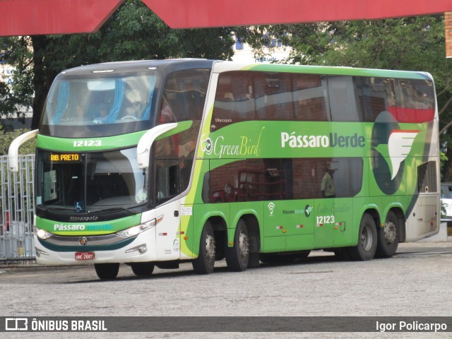 Pássaro Verde 12123 na cidade de Divinópolis, Minas Gerais, Brasil, por Igor Policarpo. ID da foto: 9705747.