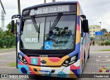 Transportes Paranapuan 10201 na cidade de Rio de Janeiro, Rio de Janeiro, Brasil, por Claudio Luiz. Número da foto: #9707177.
