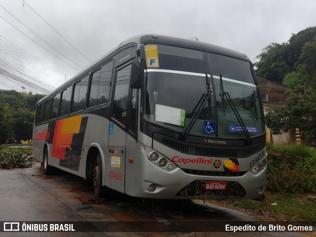 Transportes Capellini 13403 na cidade de Franco da Rocha, São Paulo, Brasil, por Espedito de Brito Gomes. Número da foto: #9710219.