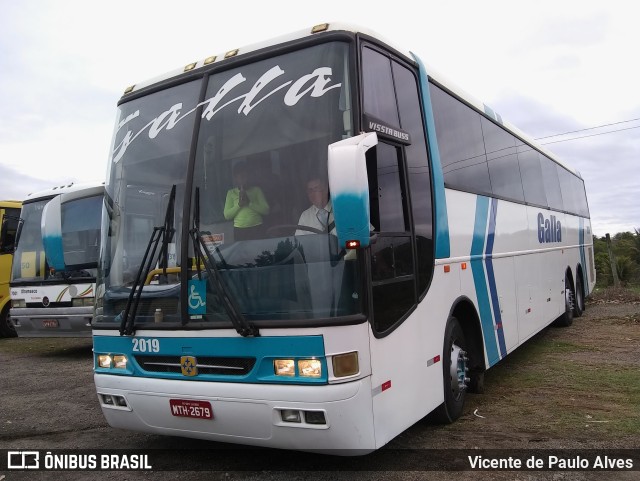 Galla Turismo 2019 na cidade de Ipaba, Minas Gerais, Brasil, por Vicente de Paulo Alves. ID da foto: 9708916.