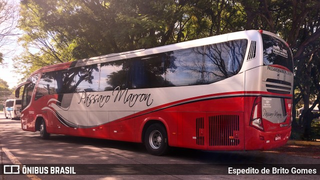 Empresa de Ônibus Pássaro Marron 5813 na cidade de São Paulo, São Paulo, Brasil, por Espedito de Brito Gomes. Número da foto: #9630310.