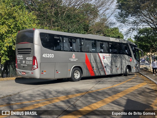 Empresa de Ônibus Pássaro Marron 45203 na cidade de São Paulo, São Paulo, Brasil, por Espedito de Brito Gomes. ID da foto: 9632937.