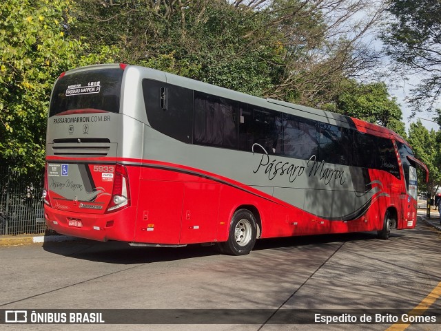 Empresa de Ônibus Pássaro Marron 5933 na cidade de São Paulo, São Paulo, Brasil, por Espedito de Brito Gomes. ID da foto: 9633055.