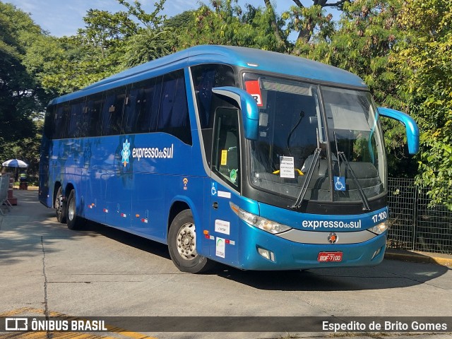 Expresso do Sul 17.100 na cidade de São Paulo, São Paulo, Brasil, por Espedito de Brito Gomes. Número da foto: #9633090.