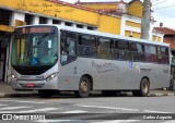 Rosa Turismo 15520 na cidade de Tatuí, São Paulo, Brasil, por Carlos Augusto. ID da foto: :id.