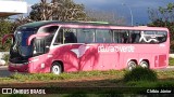 Pássaro Verde 19149 na cidade de Brasília, Distrito Federal, Brasil, por Clébio Júnior. Número da foto: #9630895.
