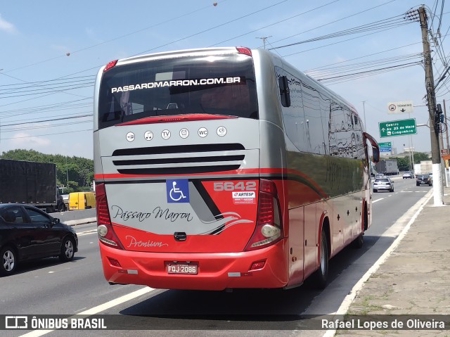 Empresa de Ônibus Pássaro Marron 5642 na cidade de São Paulo, São Paulo, Brasil, por Rafael Lopes de Oliveira. ID da foto: 9633309.