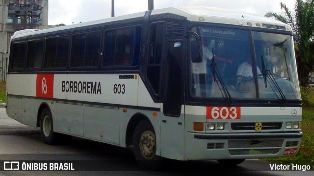 Borborema Imperial Transportes 603 na cidade de Recife, Pernambuco, Brasil, por Victor Hugo. ID da foto: 9634963.