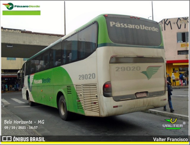 Pássaro Verde 29020 na cidade de Belo Horizonte, Minas Gerais, Brasil, por Valter Francisco. Número da foto: #9637557.
