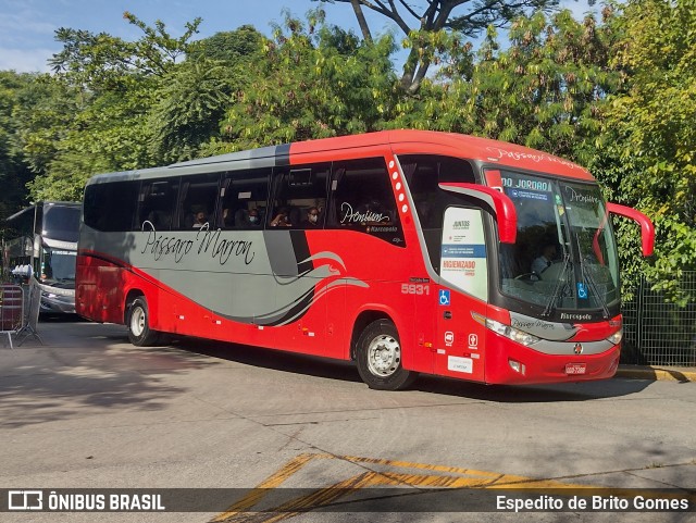 Empresa de Ônibus Pássaro Marron 5931 na cidade de São Paulo, São Paulo, Brasil, por Espedito de Brito Gomes. Número da foto: #9638379.