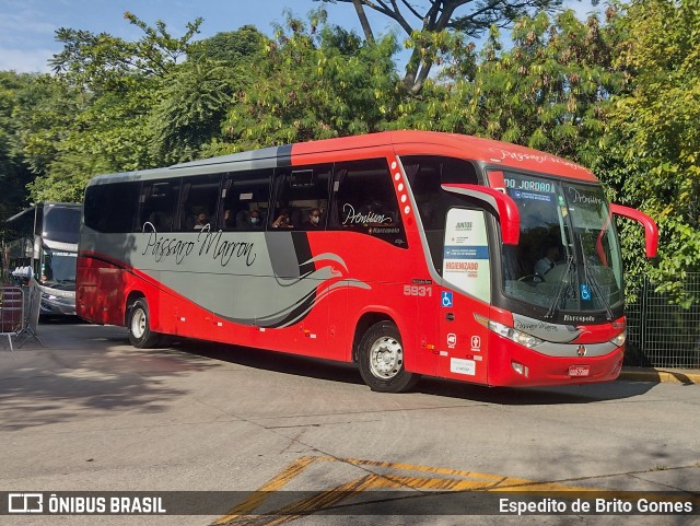 Empresa de Ônibus Pássaro Marron 5931 na cidade de São Paulo, São Paulo, Brasil, por Espedito de Brito Gomes. ID da foto: 9638379.