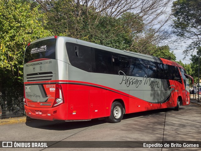 Empresa de Ônibus Pássaro Marron 5931 na cidade de São Paulo, São Paulo, Brasil, por Espedito de Brito Gomes. ID da foto: 9638383.