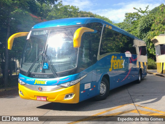 Rápido Expresso Fênix Viação 36025 na cidade de São Paulo, São Paulo, Brasil, por Espedito de Brito Gomes. ID da foto: 9640844.