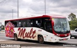 Mult Fretamento e Turismo 10100 na cidade de São Paulo, São Paulo, Brasil, por Francisco Ivano. Número da foto: #9639633.