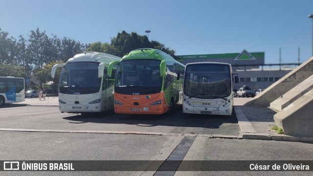 TST - Transportes Sul do Tejo 514 na cidade de Lisbon, Lisbon, Portugal, por César de Oliveira. Número da foto: #10435309.