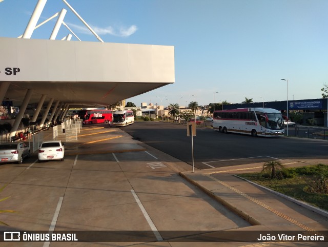 Terminais Rodoviários e Urbanos FERNANDÓPOLIS na cidade de Fernandópolis, São Paulo, Brasil, por João Vitor Pereira. ID da foto: 10436185.