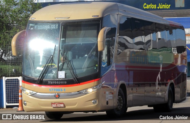 Auto Viação Goianésia 177003-1 na cidade de Goiânia, Goiás, Brasil, por Carlos Júnior. ID da foto: 10468630.