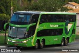 Pássaro Verde 12122 na cidade de Conselheiro Lafaiete, Minas Gerais, Brasil, por Rodrigo  Aparecido. Número da foto: #10470454.