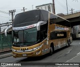 La Preferida Bus 0133 na cidade de São Paulo, São Paulo, Brasil, por Gilberto Mendes dos Santos. Número da foto: #:id.